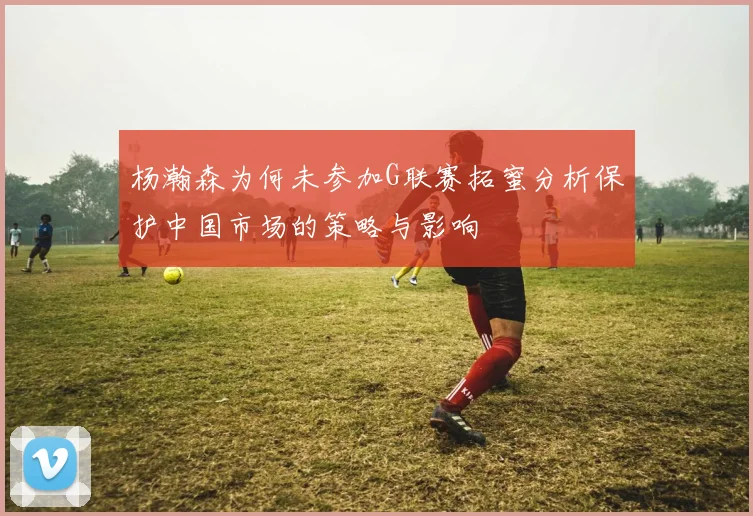 杨瀚森为何未参加G联赛拓蜜分析保护中国市场的策略与影响