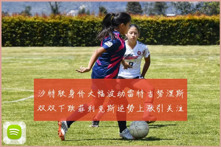 沙特联身价大幅波动雷特吉努涅斯双双下跌菲利克斯逆势上涨引关注