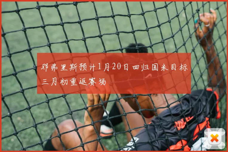 邓弗里斯预计1月20日回归国米目标三月初重返赛场